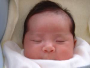 眠る饅頭 眠る饅頭