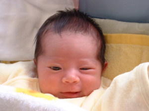 ちょっと前の写真。 ちょっと前の写真。